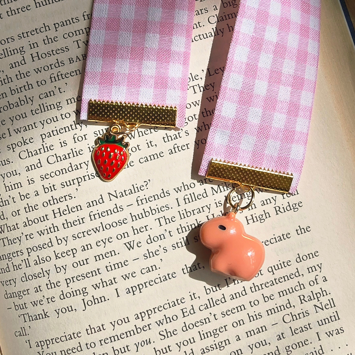 Strawberry Capybara Kindle Dust Plug